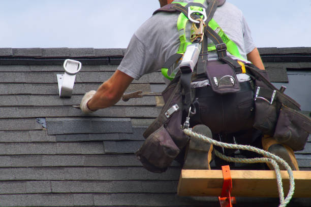 Best Roof Gutter Cleaning  in Holley, FL