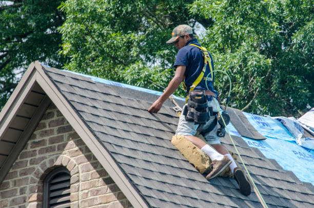 Quick and Trustworthy Emergency Roof Repair Services in Holley, FL